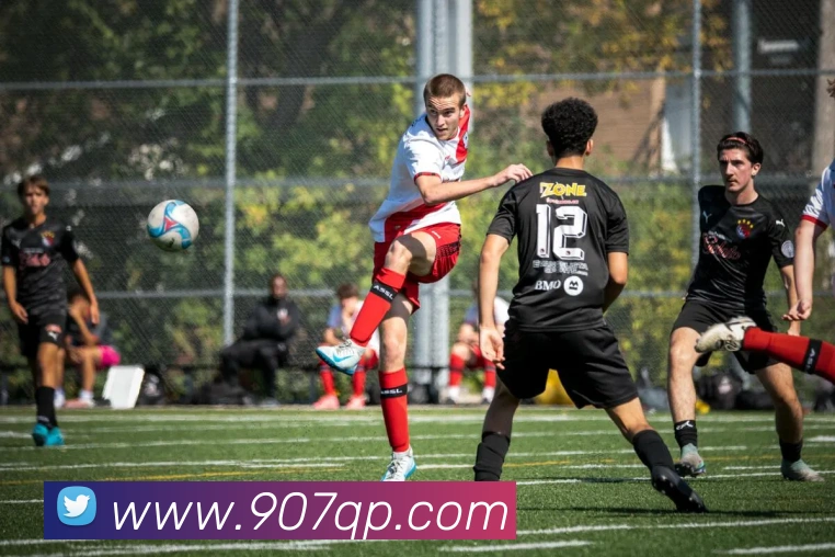 线上棋牌平台平台生态图